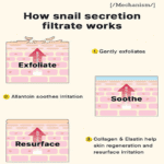 Cosrx Advanced Snail 96 Mucin Power Essence