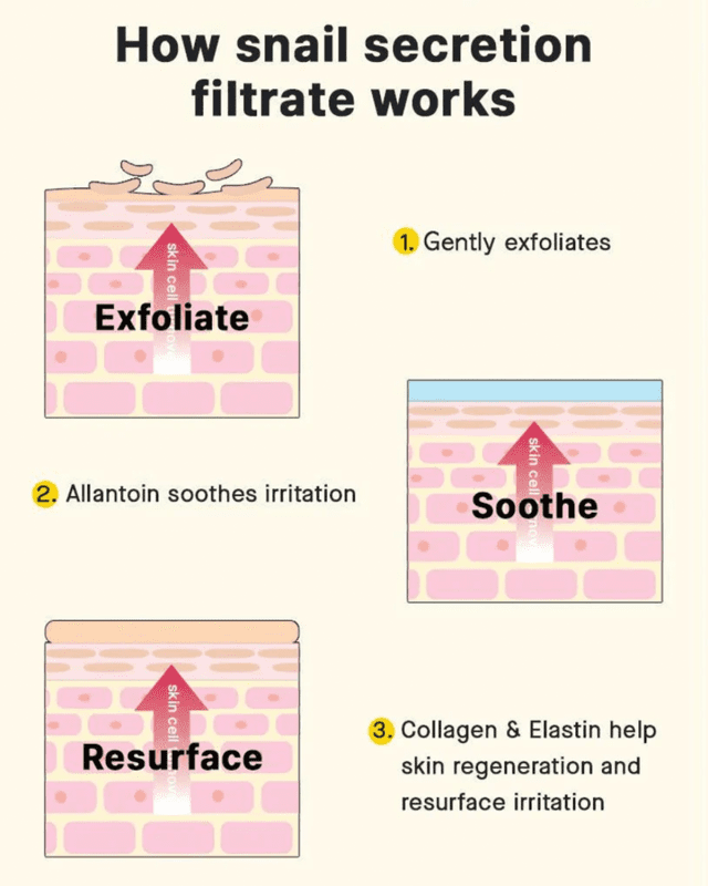 Cosrx Advanced Snail 92 All In One Cream